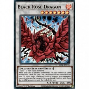 Drago Rosa Nera (V.1 - Gold)