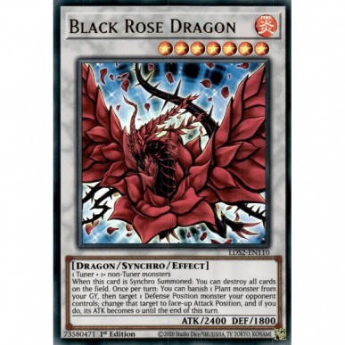 Black Rose Dragon (V.1 - Gold)