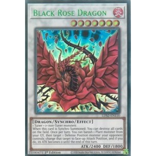 Drago Rosa Nera (V.3 - Green)