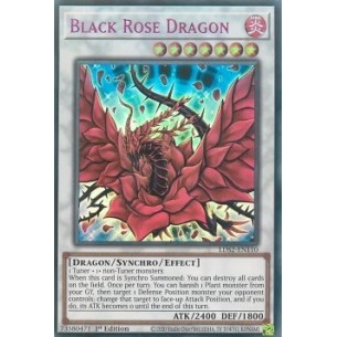Drago Rosa Nera (V.4 - Purple)