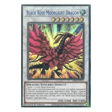 Drago Luce Lunare Rosa Nera (V.2 - Blue)