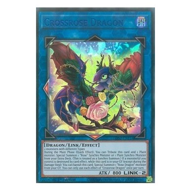 Drago Rosaincrocio (V.2 - Blue)