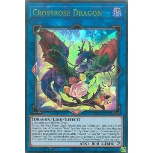 Drago Rosaincrocio (V.3 -...