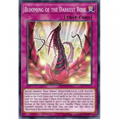 Blooming of the Darkest Rose