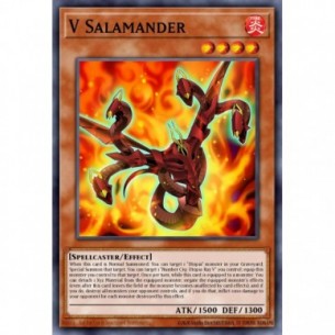 Salamandra V