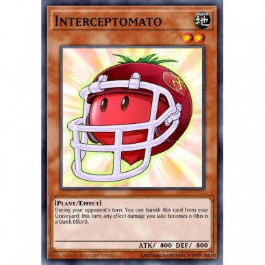 Intercetpomodoro