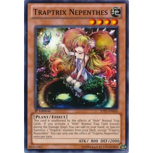 Trappolatrice Nepenthes