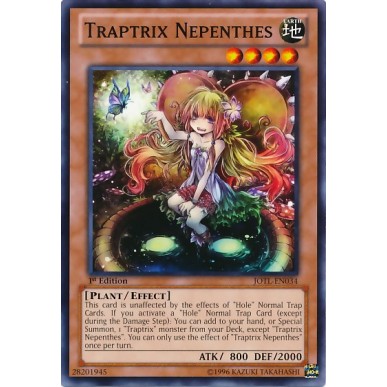 Trappolatrice Nepenthes
