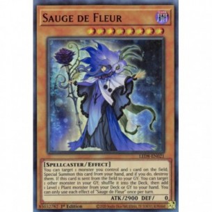 Sauge de Fleur