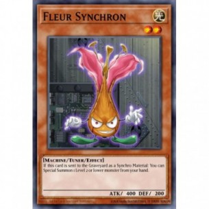 Fleur Synchron
