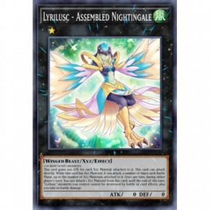 Lyrilusc - Assembled...