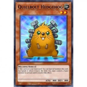 Quillbolt Hedgehog