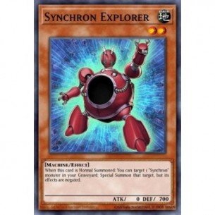 Synchron Explorer