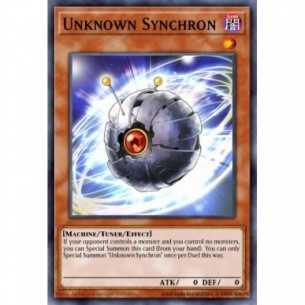 Synchron Sconosciuto