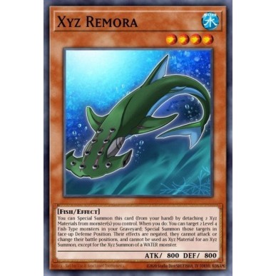 Remora Xyz