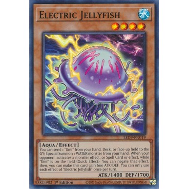Medusa Elettrica