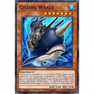 Citadel Whale