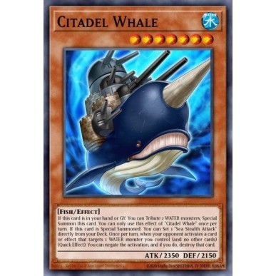 Citadel Whale