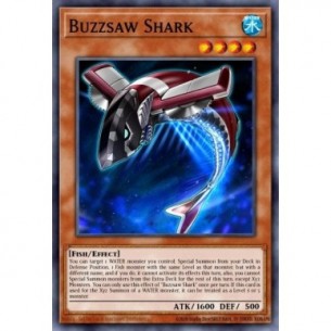 Buzzsaw Shark