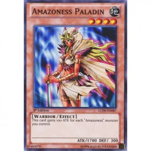 Amazoness Paladin