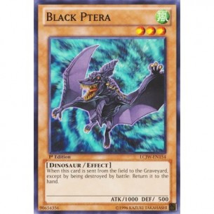 Pterodattilo Nero