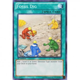 Fossil Dig