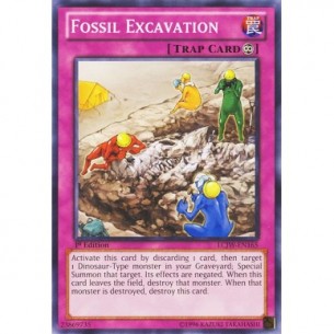 Scavo Fossile