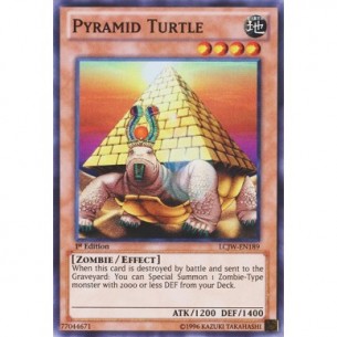 Tartaruga Piramide