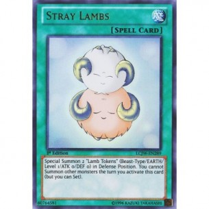 Stray Lambs