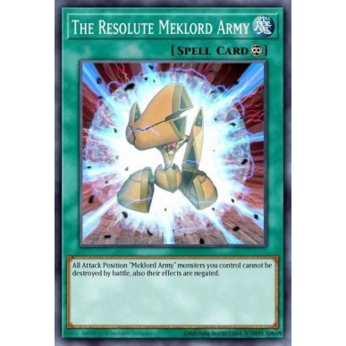 Il Risoluto Esercito Meklord