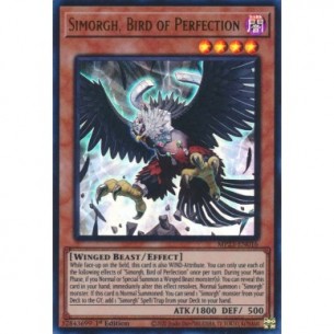 Simorgh, Volatile della...