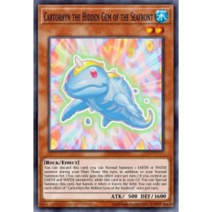 Cartorhyn the Hidden Gem of...