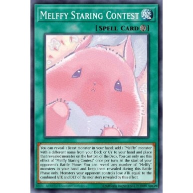 Melffy Staring Contest