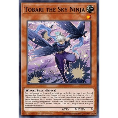 Tobari the Sky Ninja