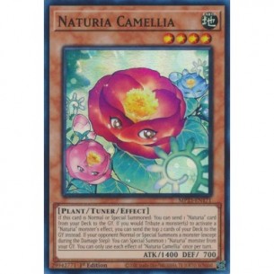 Naturia Camelia