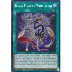 Black Feather Whirlwind