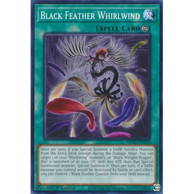 Black Feather Whirlwind