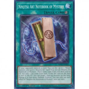 Appunti Arte Ninjitsu del...