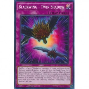 Blackwing - Twin Shadow
