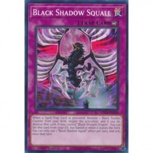 Black Shadow Squall