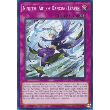 Arte Ninjitsu delle Foglie Danzanti