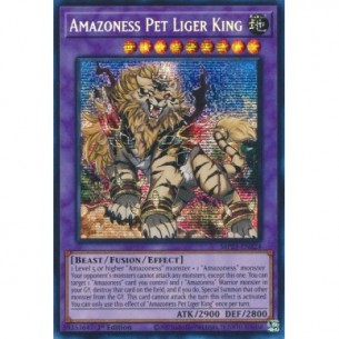 Amazoness Pet Liger King