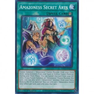Amazoness Secret Arts