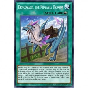 Dracoback, the Rideable Dragon