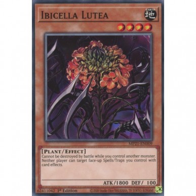 Ibicella Lutea