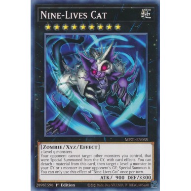 Gatto dalle Nove Vite