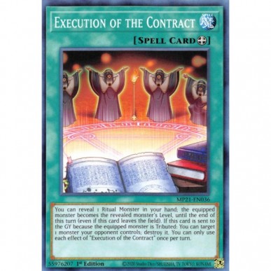 Execution of the Contract