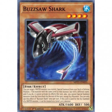 Buzzsaw Shark