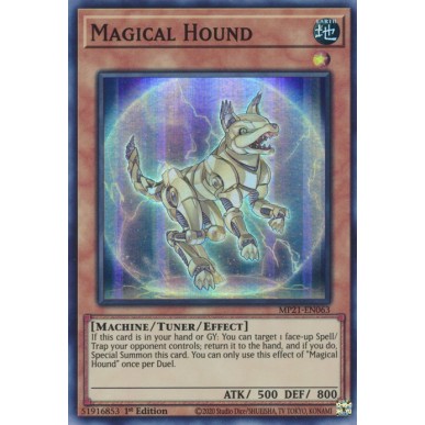 Magical Hound