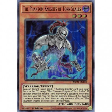 The Phantom Knights of Torn Scales
